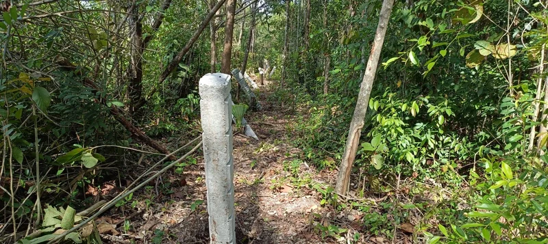 Concrete post for right-of-way boundaries · Tren Maya