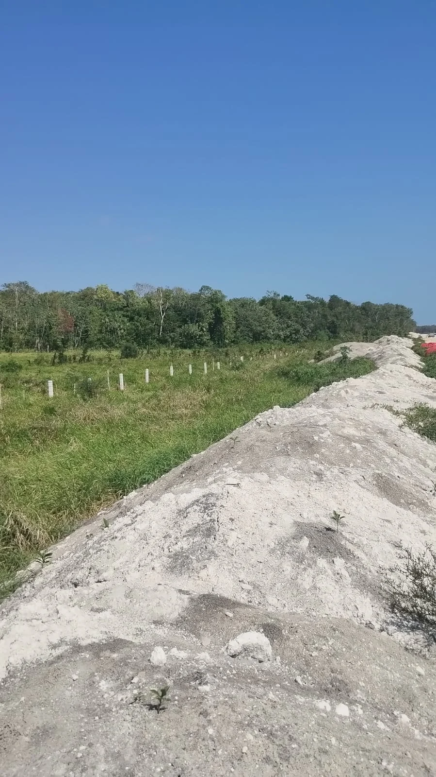 Right-of-way enclosure with concrete posts · Tren Maya